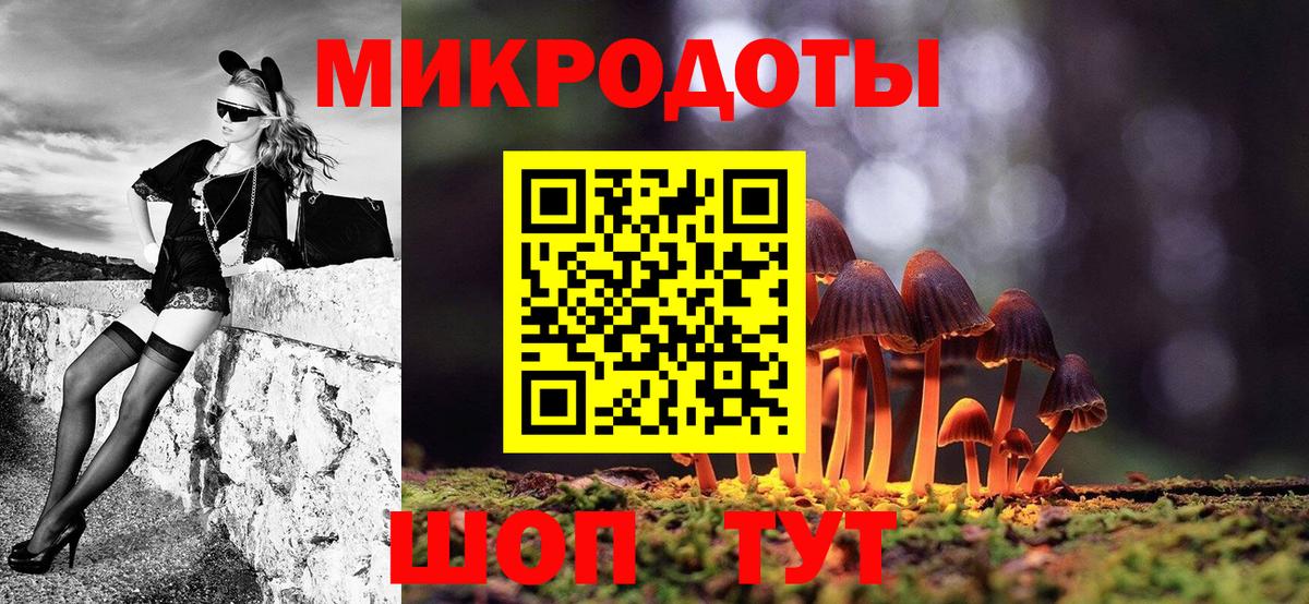 Галлюциногенные грибы Psilocybine cubensis Ачхой-Мартан